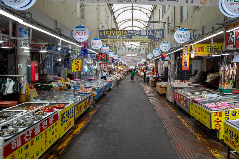 Korea yet again for the 7th time - March and April 2026 - That is probably enough fish market pics.