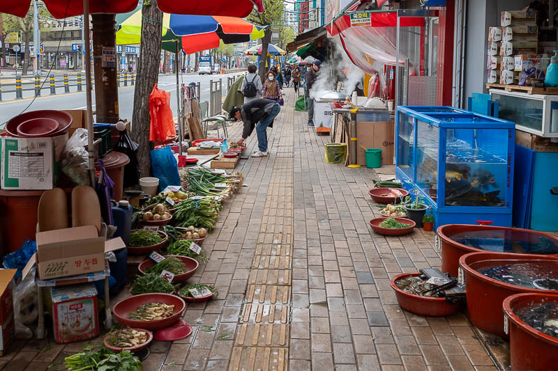 Korea yet again for the 7th time - March and April 2026 - Typical Korean street scene from out the front of any traditional market, ideally I would have got closer to the steam from the dumpling shop (mandoo 