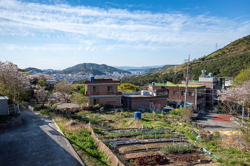 Korea-Changwon-Hiking-Jinhae - The view was excellent right from when I got off the bus.