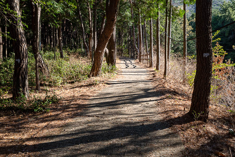Korea-Changwon-Hiking-Jinhae - The first bit of the hike was up to a temple, and is a very steep road of sorts, but a road no normal car could go up without ruining the clutch.