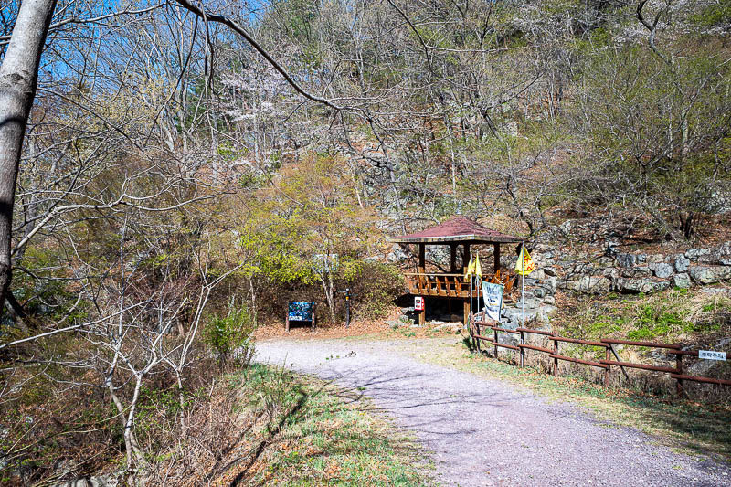 Korea-Changwon-Hiking-Jinhae - First third of the hike is the heavily promoted Jinhae dream road, which looks like a road as you can see. You will not get lost, there are numerous o