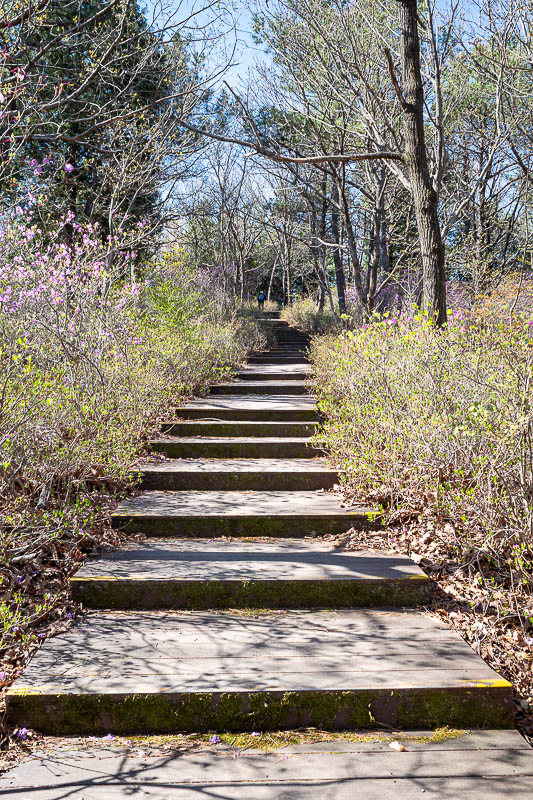 Korea-Changwon-Hiking-Jinhae - The path along here is not really a hike at all.
