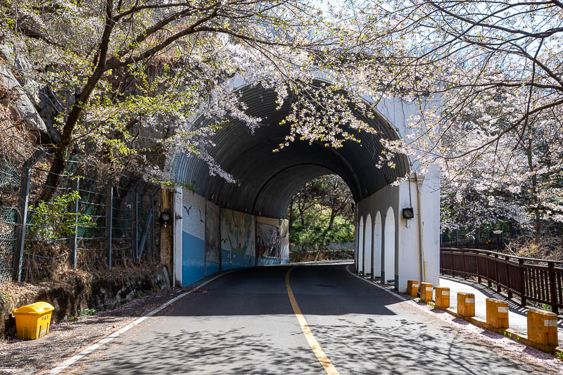 Korea-Changwon-Hiking-Jinhae - And then I rejoined the actual road for a few hundred metres. There were a lot of people walking along the boardwalk here. I enjoyed the landslide cov