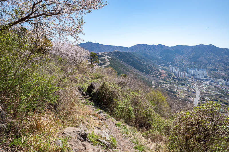 Korea-Changwon-Hiking-Jinhae - The trail started to get great. That is the direction from where I had come.