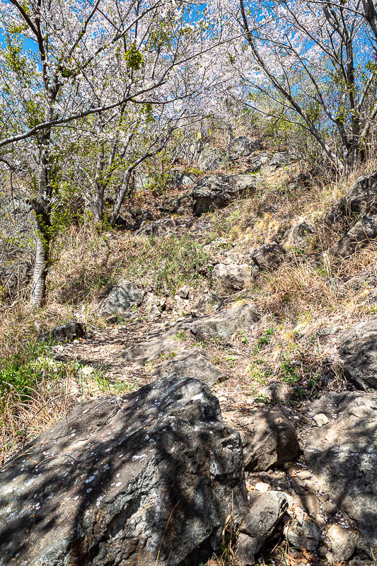 Korea-Changwon-Hiking-Jinhae - Parts of the trail where very rocky.