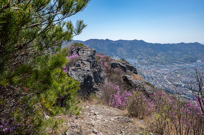 Korea-Changwon-Hiking-Jinhae - The ridge was rocky and purple.