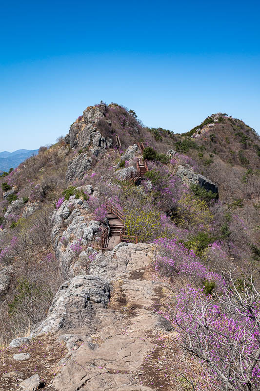 Korea-Changwon-Hiking-Jinhae - I will continue in this direction, you can see wooden staircases if you squint.