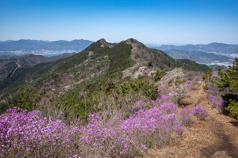 Korea-Changwon-Hiking-Jinhae - I could have gone down to the left at this point, but I was having so much fun I decided to continue to the next 2 peaks in the distance.