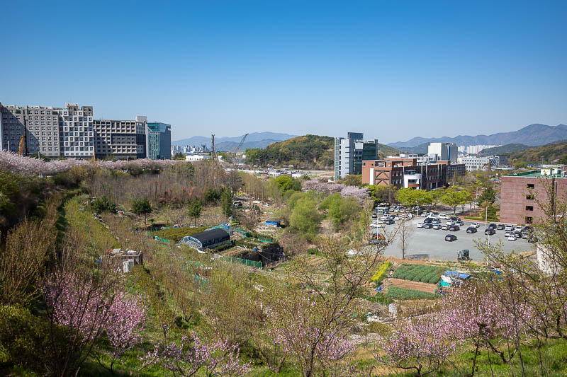 Korea-Changwon-Daejeon-KTX - The view from Changwon Jungang station is interesting, a new city area on the left, a new University on the right, plastic covered farm land in the mi