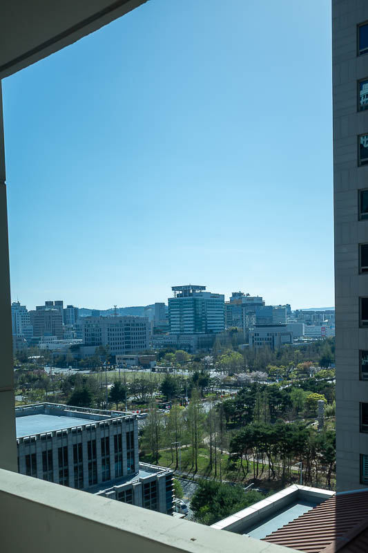 Korea-Changwon-Daejeon-KTX - Final terrible pic of the day, my window view, of a garden in the government office building area. Tinted window, I did what I could to un-tint it.
