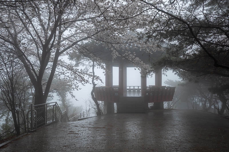 Korea-Daejeon-Hiking-Gyejoksan - Great fog, soon I will start talking about clay.