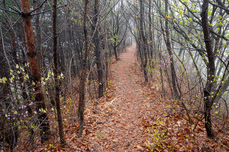 Korea-Daejeon-Hiking-Gyejoksan - OK, now there is no fog, I was below it, briefly.