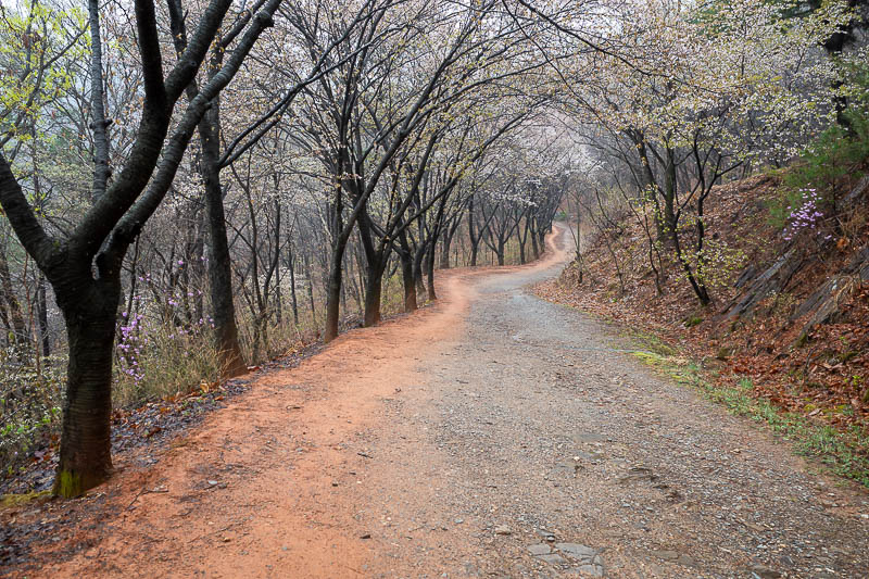 Korea-Daejeon-Hiking-Gyejoksan - At this point I have joined the main loop trail. I did the full loop and saw almost no one around the back 2/3 of the trail, just a couple of trail ru