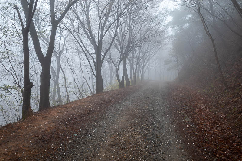 Korea-Daejeon-Hiking-Gyejoksan - The rest of the 'hike' was foggy - as far as a hike goes it is pretty easy even though it is long, I jogged a lot of it.