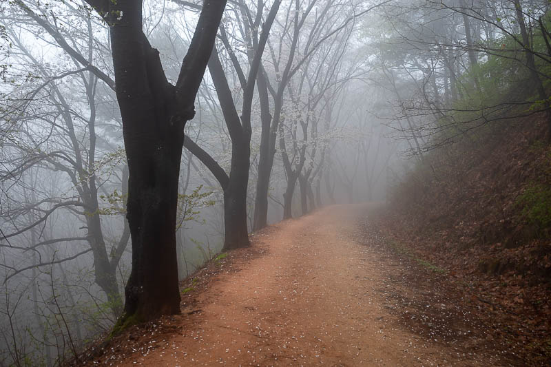 Korea-Daejeon-Hiking-Gyejoksan - This last bit is mostly down hill.