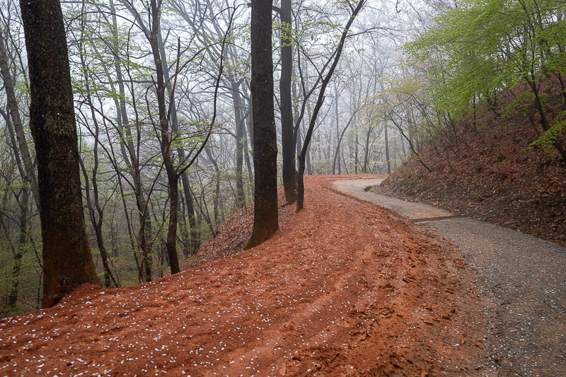 Korea-Daejeon-Hiking-Gyejoksan - And then finally, I was once more below the fog. I took a bus back from the park entrance. It was about a 20 minute wait, the bus stop seat was heated