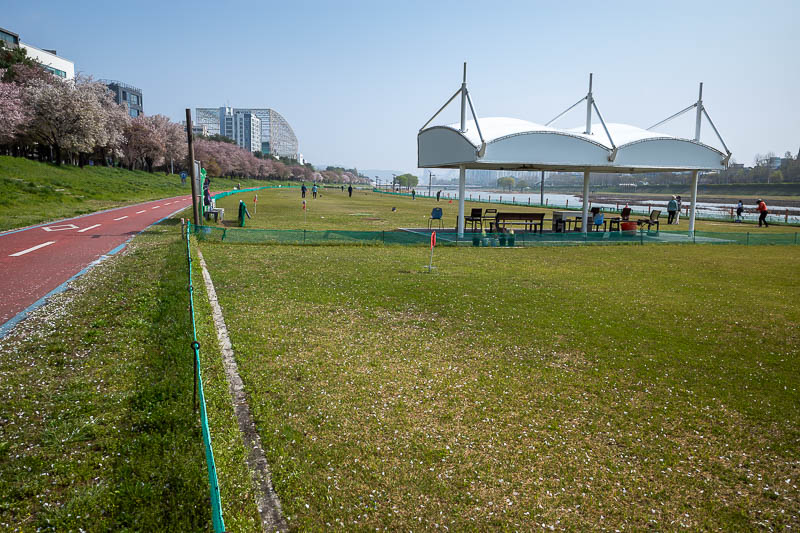 Korea-Daejeon-Yuseong-Market - Down in the flood zone, it is time for a game of sad old people golf. Literally just a flat grass area with a metal cage to hit balls at. It is very p