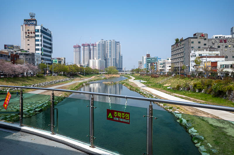 Korea-Daejeon-Yuseong-Market - Now, one of the reasons I decided to come back here today was to complete my detective work. I thought that when I was last here that they parked cars