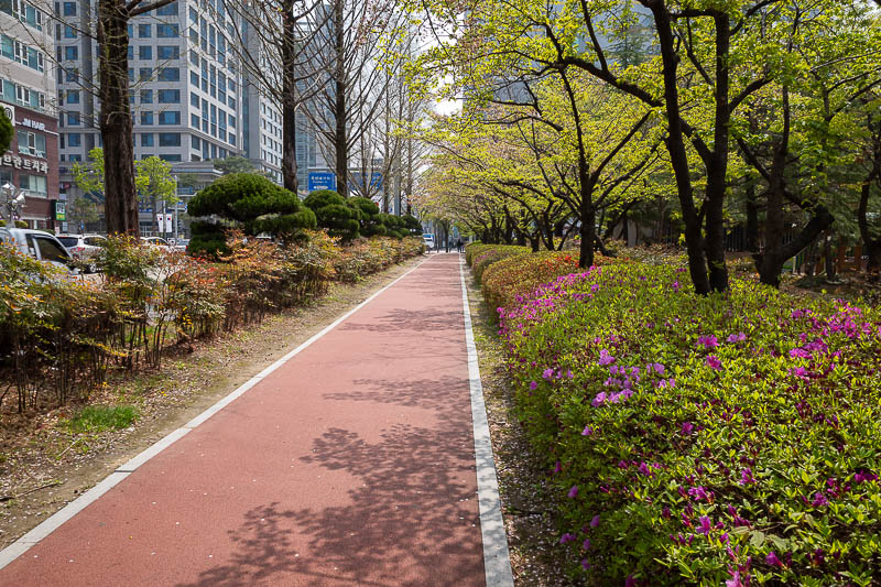 Korea-Daejeon-Yuseong-Market - I headed back into town to spend some time in the gardens. Leaves have arrived.