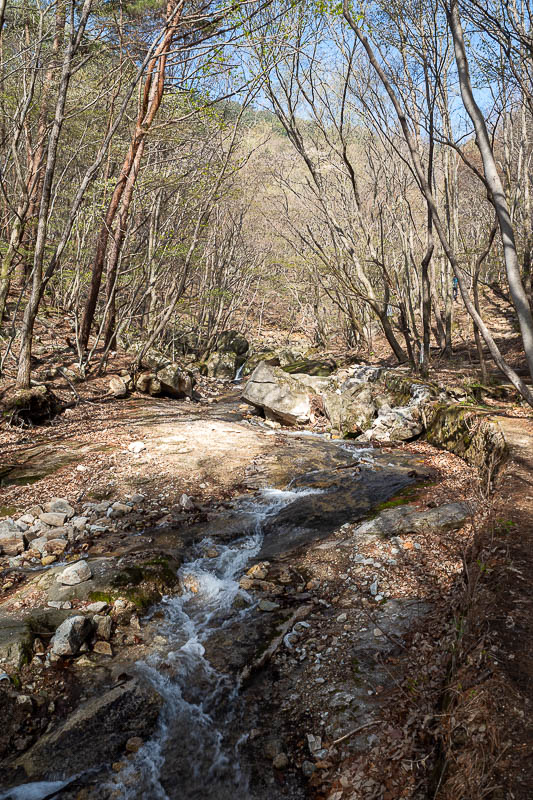 Korea-Daejeon-Hiking-Gyeryongsan - The trail starts about 5 minutes away from the bus stop. Today I am going in the reverse direction to the first time I was here, and along a different