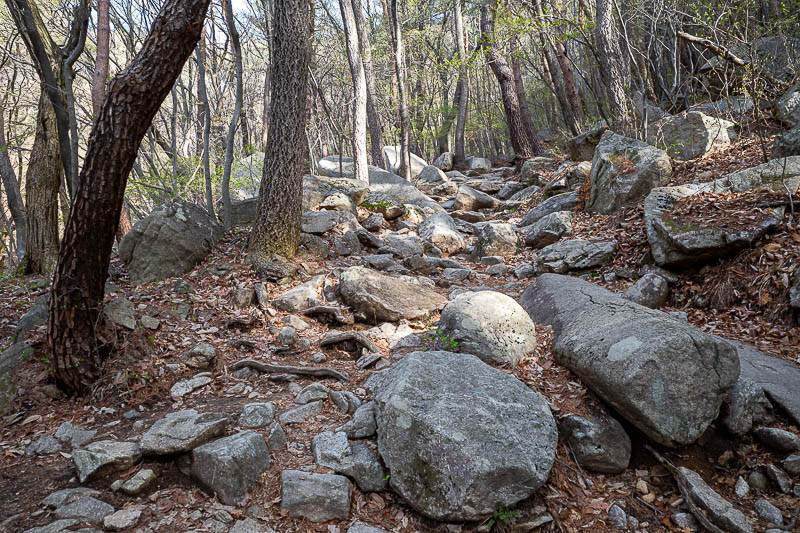 Korea-Daejeon-Hiking-Gyeryongsan - Lots of rocks early on, and surprisingly quiet. Later there would be a huge number of people, I guess I was taking a less popular route.