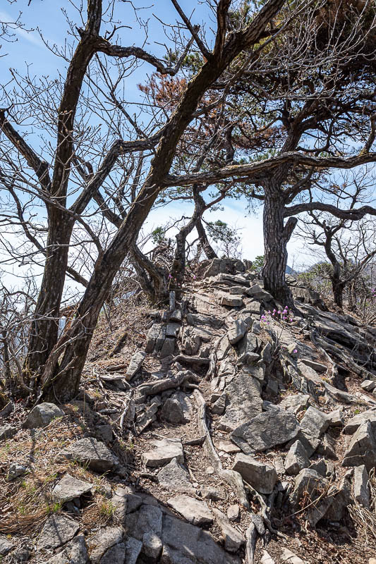 Korea-Daejeon-Hiking-Gyeryongsan - The ridge line was rocky.