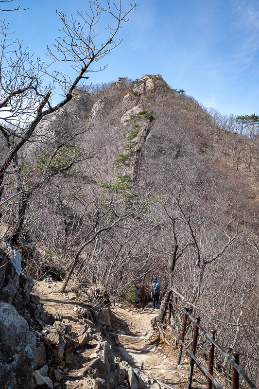 Korea-Daejeon-Hiking-Gyeryongsan - That is a huge staircase up to the next and final summit.