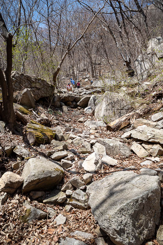 Korea-Daejeon-Hiking-Gyeryongsan - Looking back up the way I had come down. There were a lot more people now.