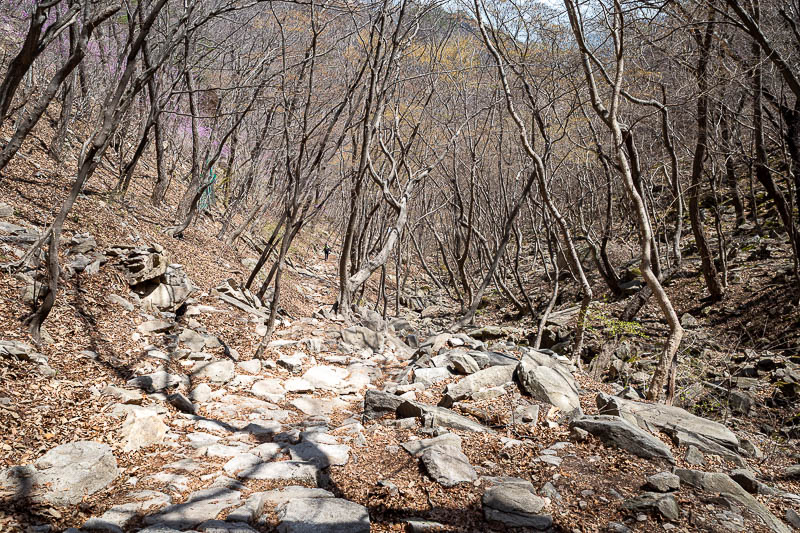 Korea-Daejeon-Hiking-Gyeryongsan - Getting there. It was a short hike today, but the course I took has all the best bits, longer ones miss most of the highlights.