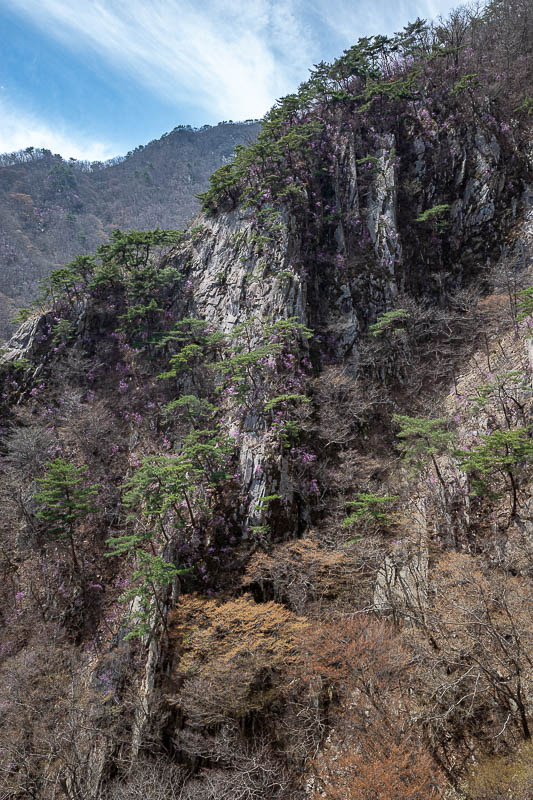 Korea-Daejeon-Hiking-Gyeryongsan - I don't think you can go up to that ridge, it is in the closed off military area.
