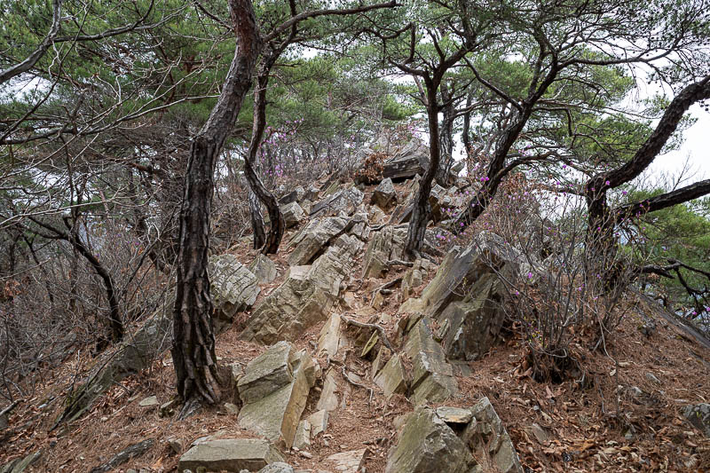 Korea-Seoul-Hiking-Soyosan - This sort of rocky trail is typical of hiking in Korea. Rocks sticking out at a 45 degree angle.