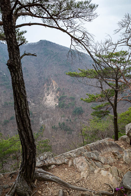 Korea-Seoul-Hiking-Soyosan - Here it is again, but vertical I did not mean to include this photo.