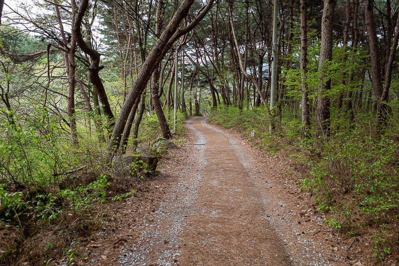 Korea-Jeonju-Hiking-Moaksan - The fist third of the 'trail' is road with hessian bags up the middle, which made for quick progress. There were a few old ladies heading up to the te