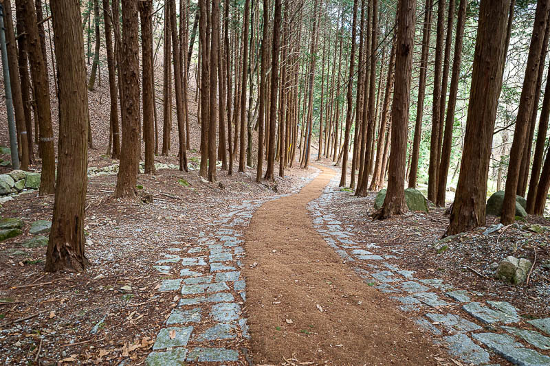 Korea-Jeonju-Hiking-Moaksan - A nice wooded area, I was appreciating the shade as it was probably 23 degrees (celsius/centrigrade/metric temperature unit that is not kelvin).