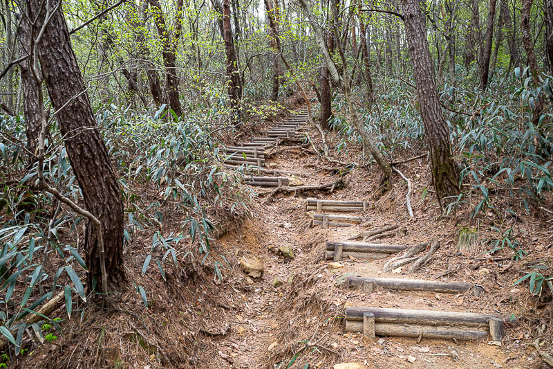 Korea-Jeonju-Hiking-Moaksan - After the temple, the path got more trail like.