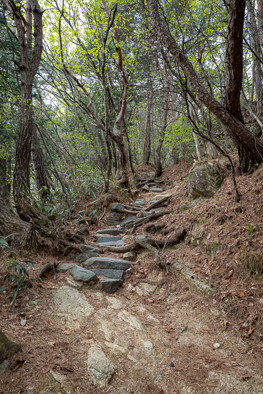Korea-Jeonju-Hiking-Moaksan - Eventually, there will be rocks.