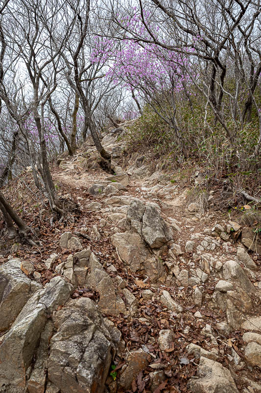 Korea-Jeonju-Hiking-Moaksan - I decided to go down the way I had come up, as it was longer, and I knew there was a bus at the bottom.