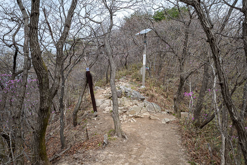 Korea-Jeonju-Hiking-Moaksan - But first this junction tempted me. No other people on the trail, but still an emergency phone and defibrillator.