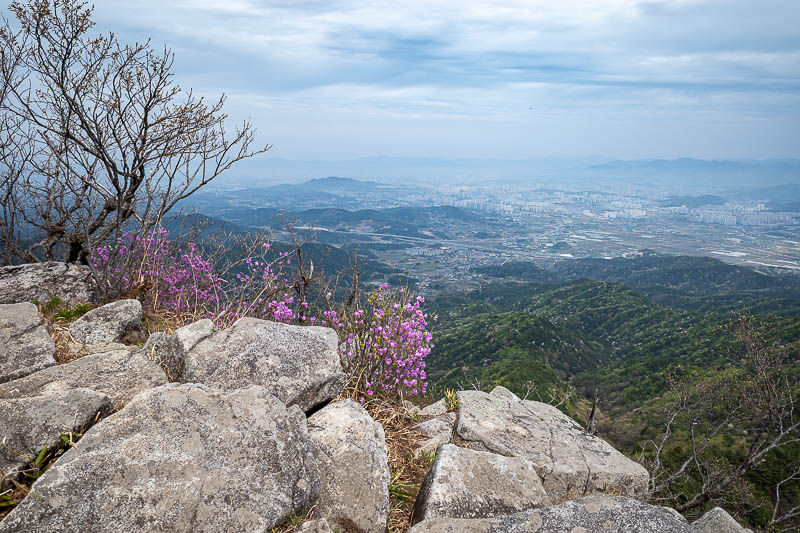 Korea-Jeonju-Hiking-Moaksan - I followed a detour trail to an alternative summit. I was glad I did.