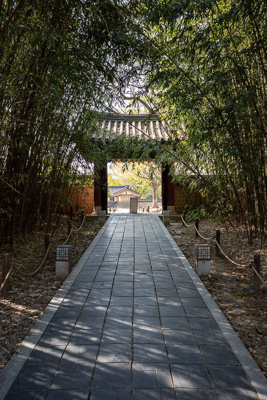 Korea yet again for the 7th time - March and April 2026 - There is some bamboo.