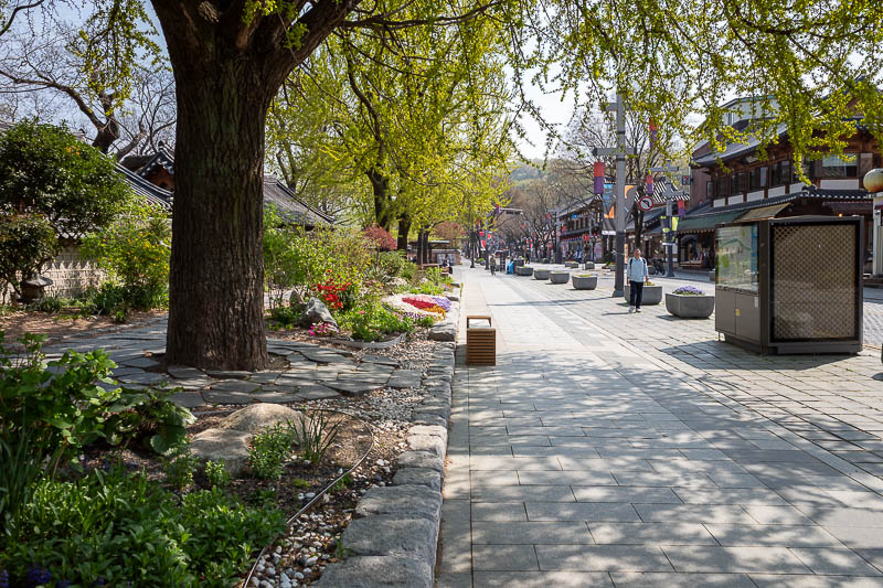 Korea yet again for the 7th time - March and April 2026 - Back at the main street through the hanok village, and it is hot with bright sun today. I got burnt.
