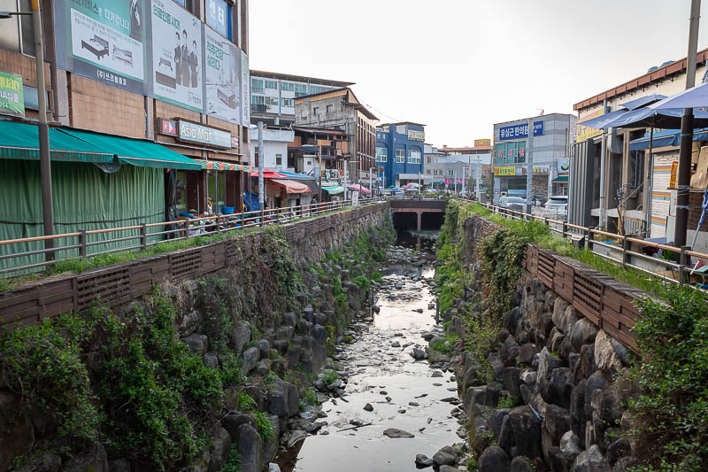 Korea yet again for the 7th time - March and April 2026 - I headed to the market, which has a convenient drain for fish guts disposal.