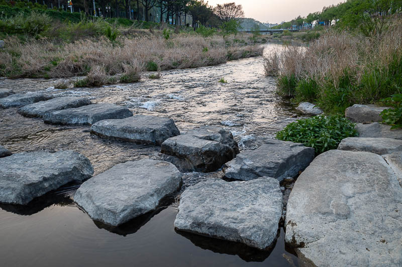 Korea yet again for the 7th time - March and April 2026 - Next I wandered down to the river to find out if these rocks are slippery. They are not.