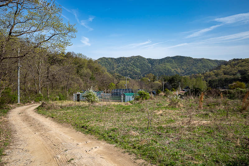 Korea yet again for the 7th time - March and April 2026 - The wrong path lead me up through farm lands. Lots of dogs barking.