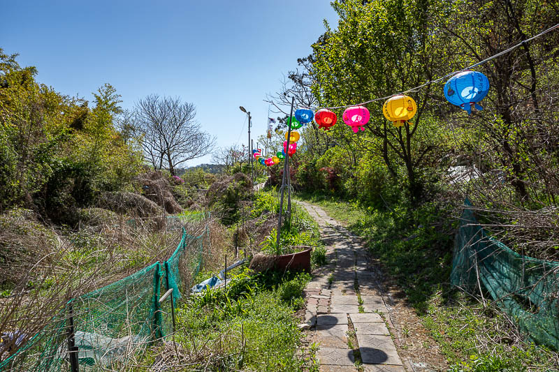 Korea yet again for the 7th time - March and April 2026 - After doubling back at the dead end, here is where I found an actual trail. Well I still was not quite sure at this point, but if you are looking to d