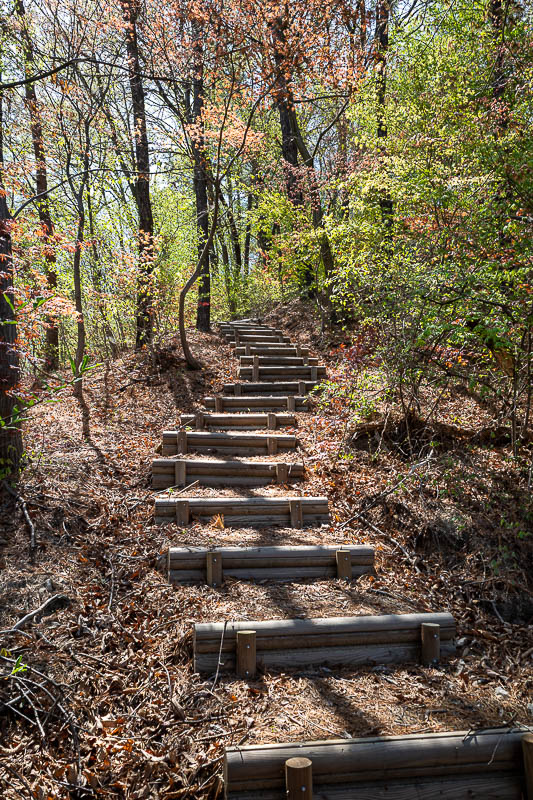Korea yet again for the 7th time - March and April 2026 - Once I got to here, I knew it was the right trail. Almost looks like Autumn too.