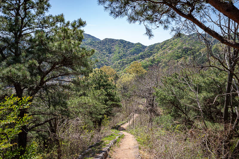 Korea yet again for the 7th time - March and April 2026 - Now I am finally heading in the correct direction.