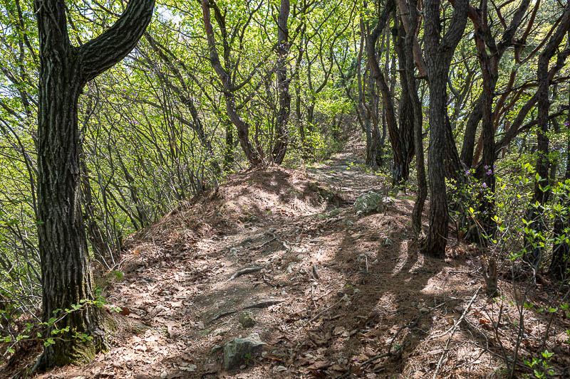 Korea yet again for the 7th time - March and April 2026 - As you can see.. it looked very similar for a lot of the way. Not too rocky.