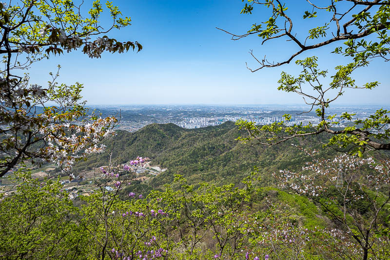 Korea yet again for the 7th time - March and April 2026 - First view. Jeonju is bigger than I thought.