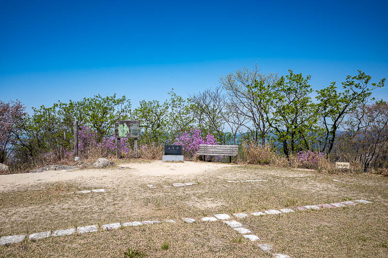 Korea yet again for the 7th time - March and April 2026 - The summit has a helicopter landing area, but almost no view due to the trees.